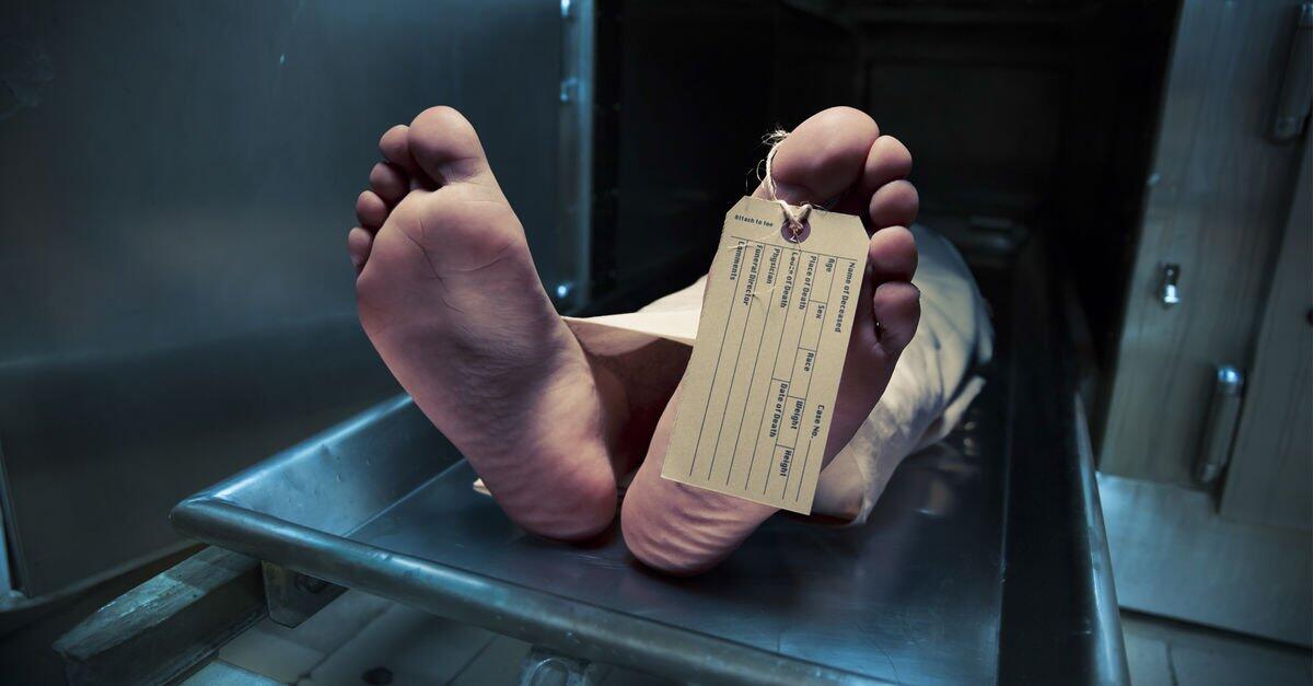 Akıl çelen o paketlerin ardından bu gerçek çıktı! Dünyanın en kanlı savaşında ölen kişi sayısıyla aynı…